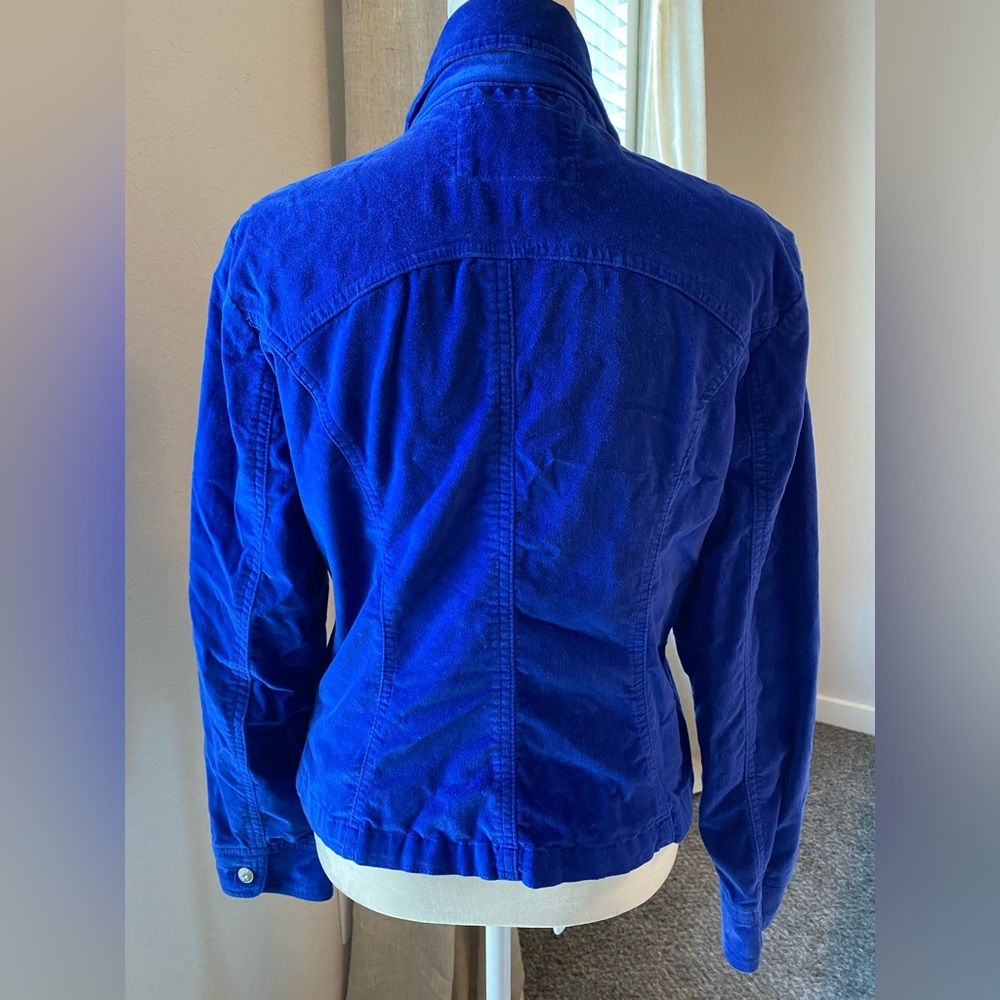 Blue Jacket - Picture 6 of 7